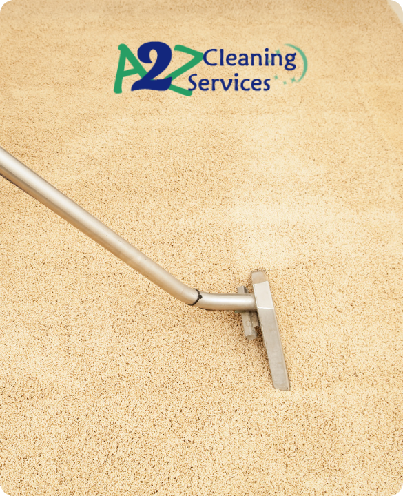 Expert Choice for Carpet Cleaning